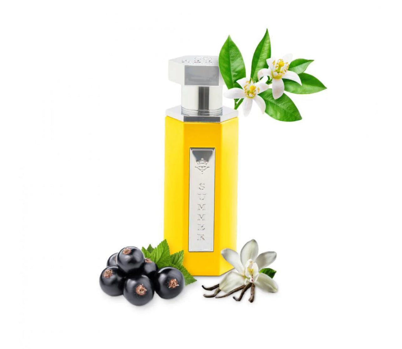 Reef Summer Yellow EDP 100ml